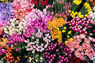 《Apex英雄》手游第三赛季“至高之人” 新英雄艾许上线